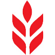 Công ty Cổ Phần Bột Mì Đại Phong